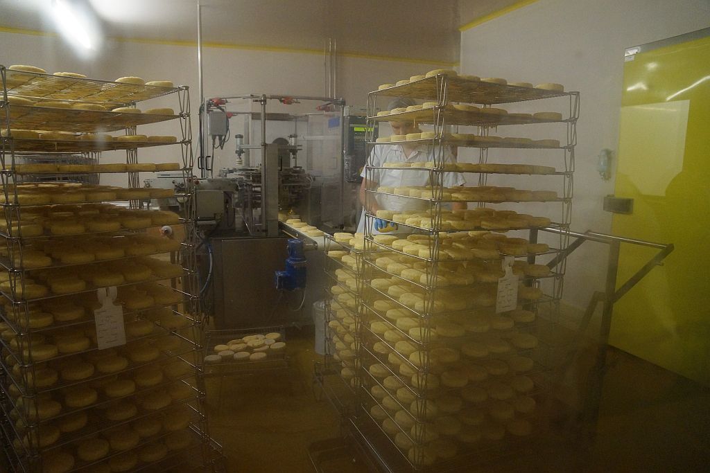 käse käse