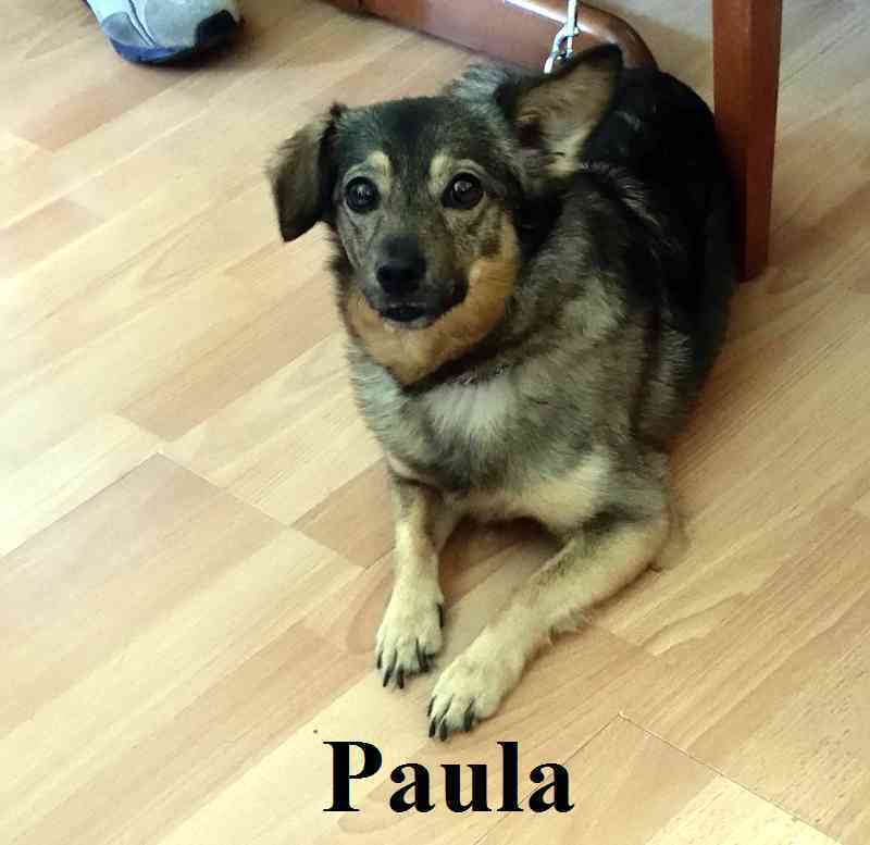unsen_paula.jpg unsen_paula.jpg