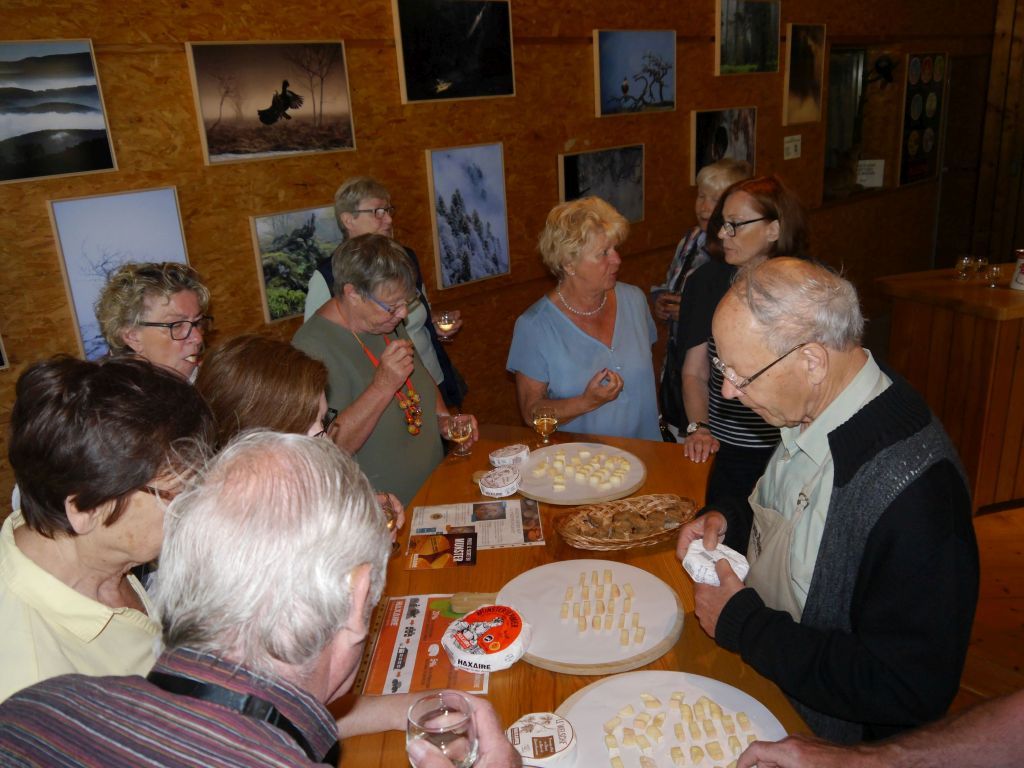 käse käse