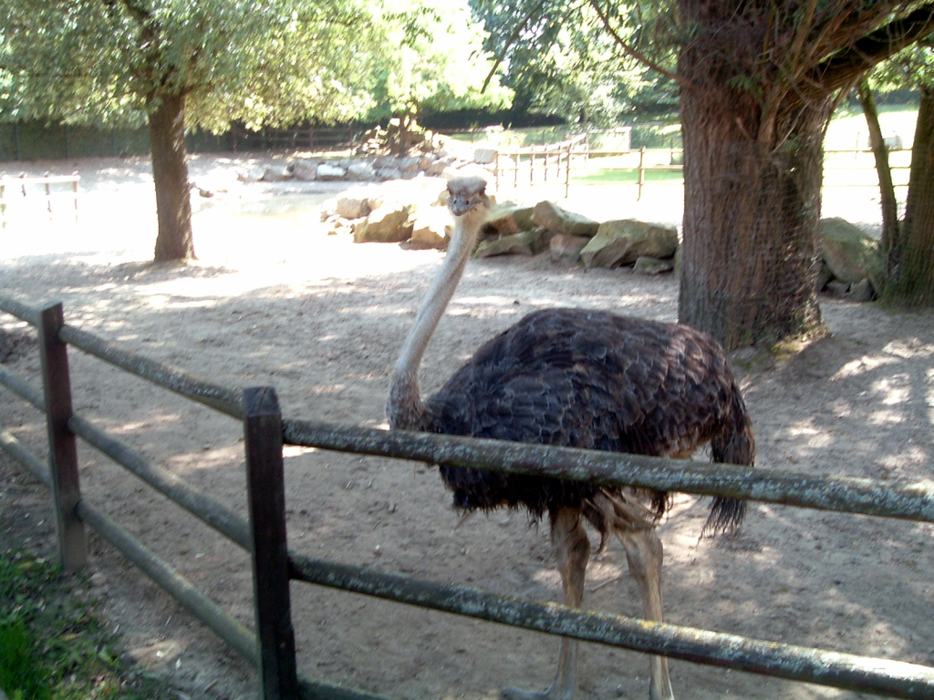 tierpark5 tierpark5