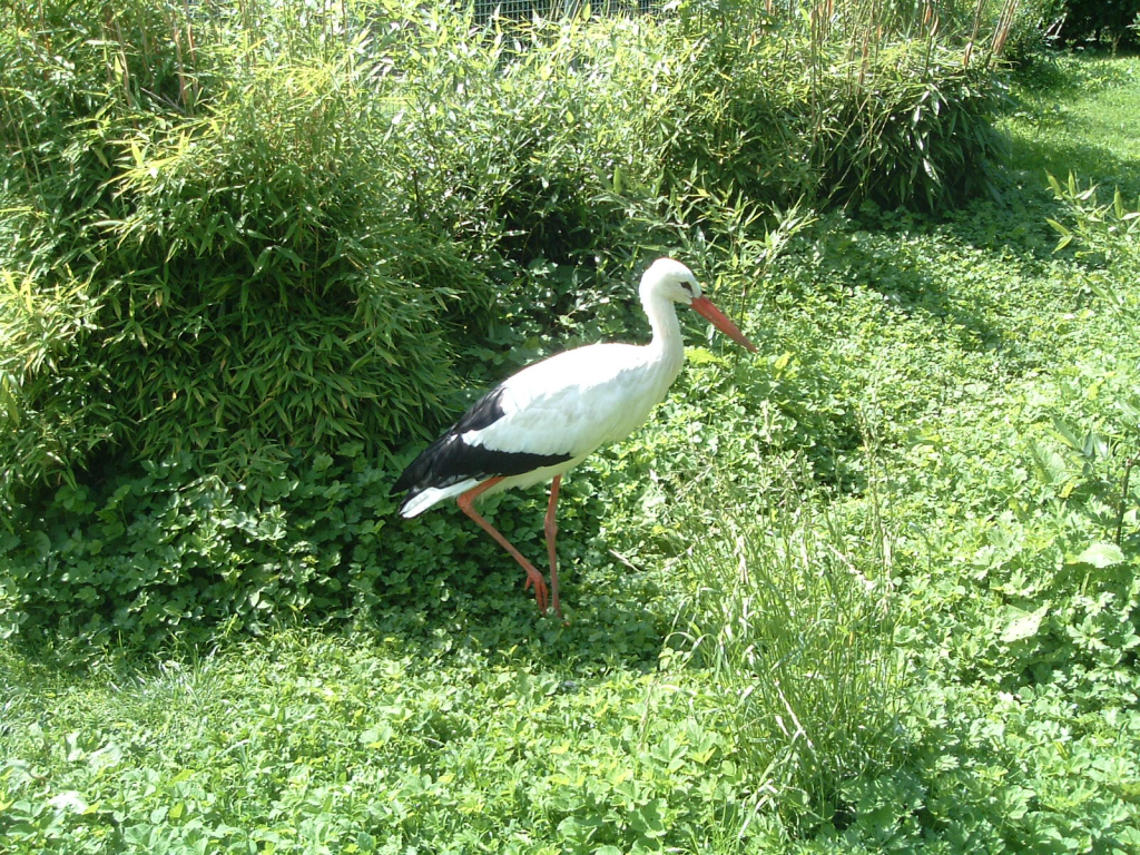 tierpark7 tierpark7