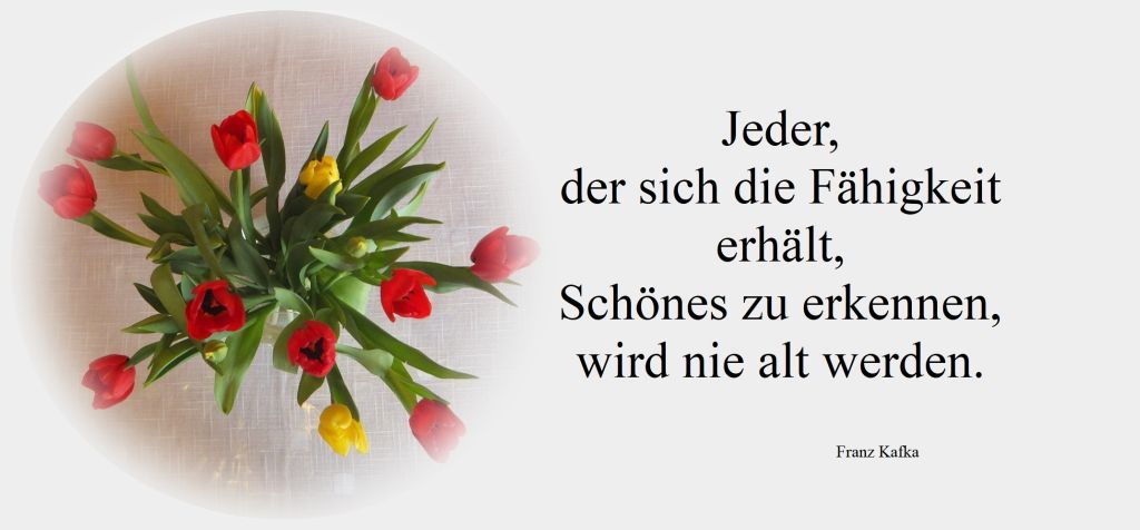 Geb. Dezember Geb. Dezember