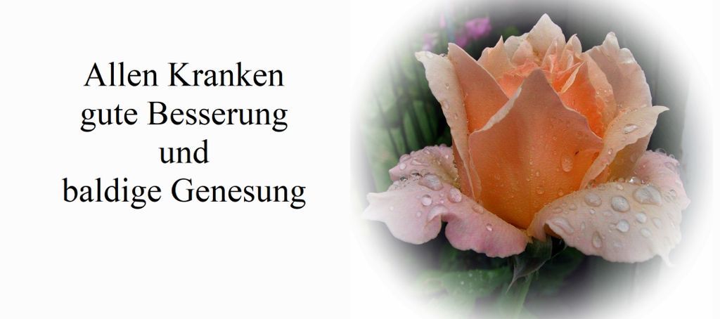 Gesundheit Gesundheit