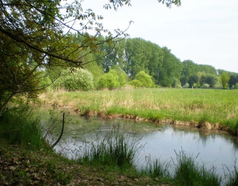 sundgau_fahren21 sundgau_fahren21