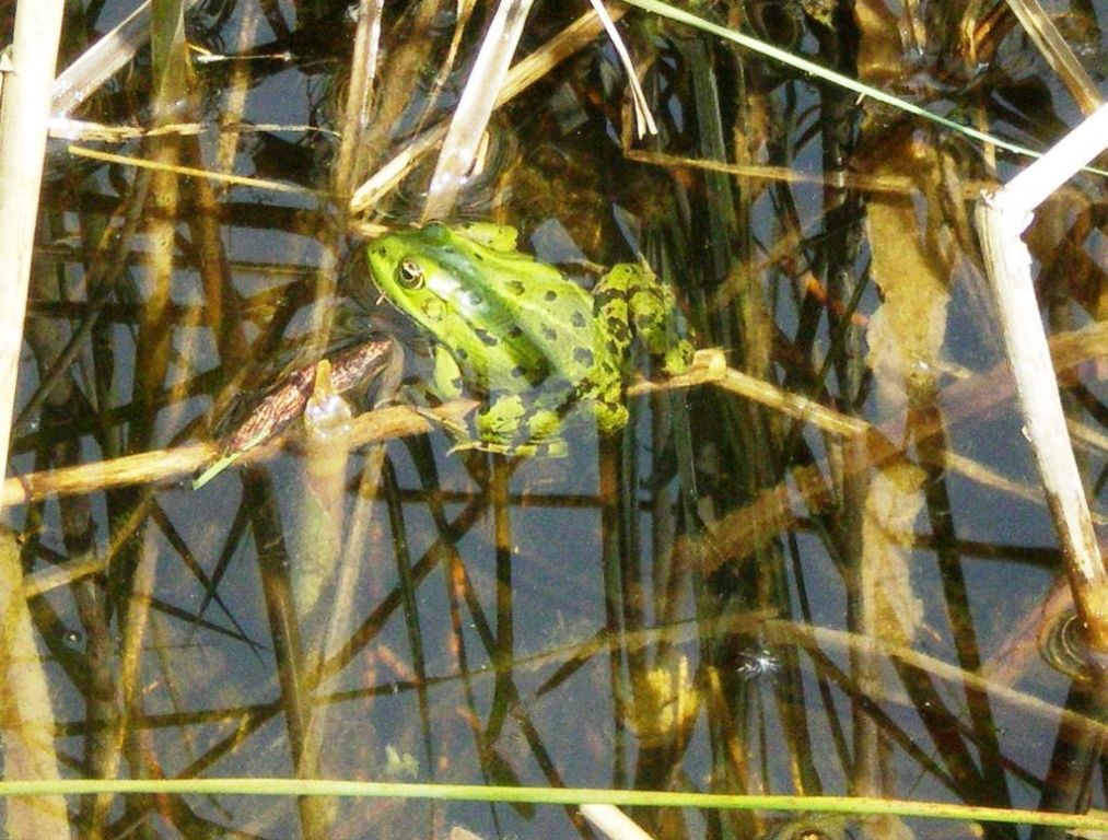 sundgau_fahren23 sundgau_fahren23