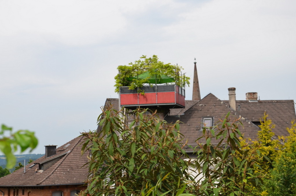 DSC_0102 DSC_0102