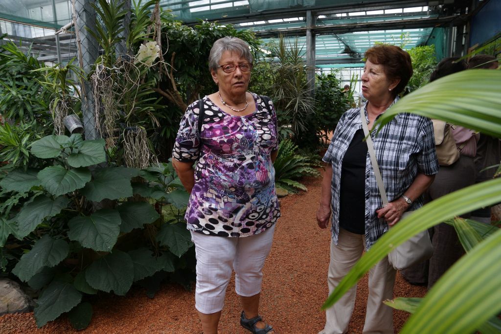 jardin jardin
