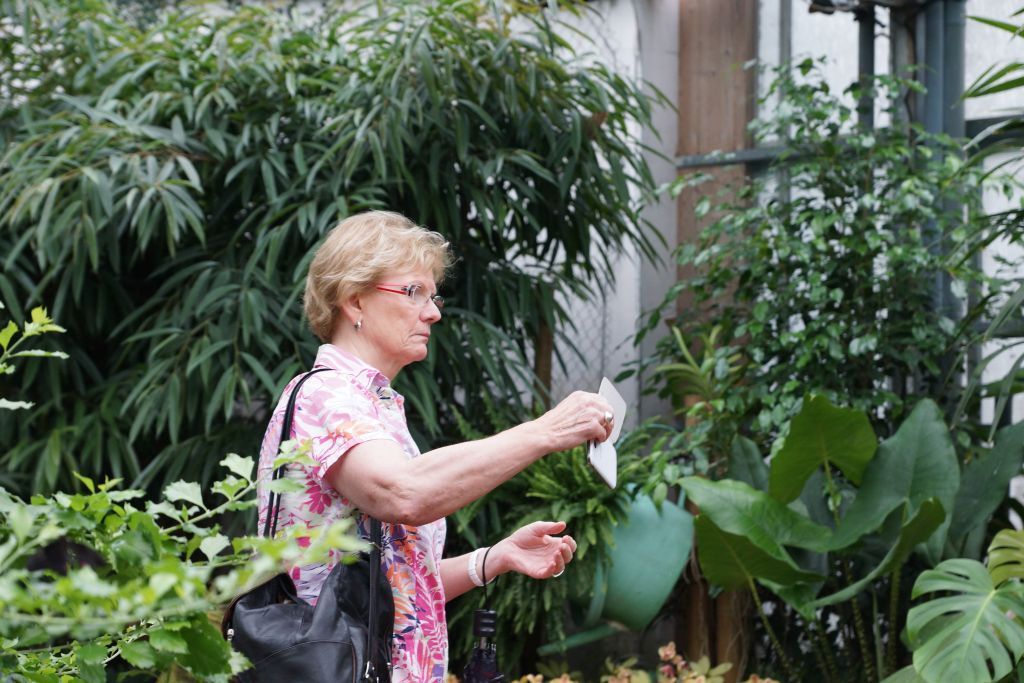 jardin jardin