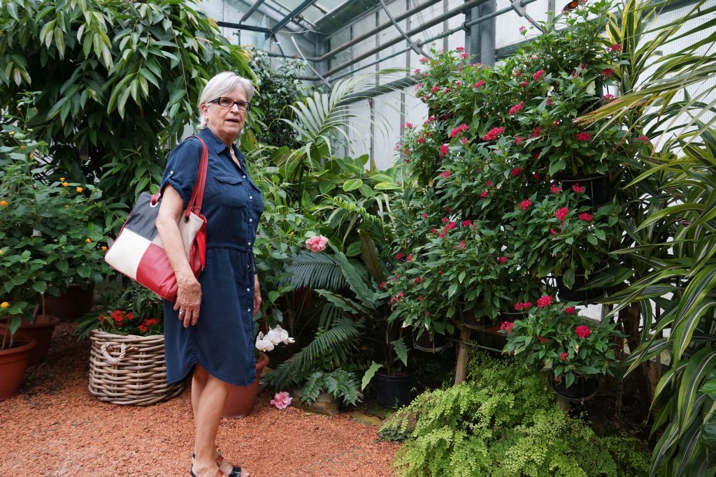 jardin jardin