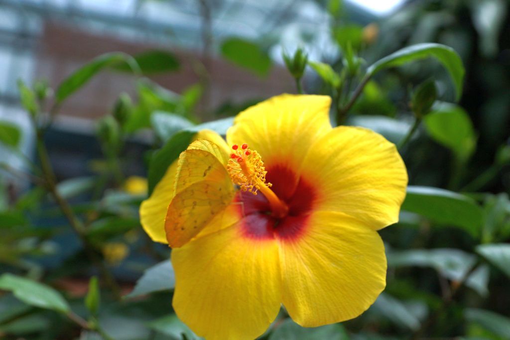 jardin jardin