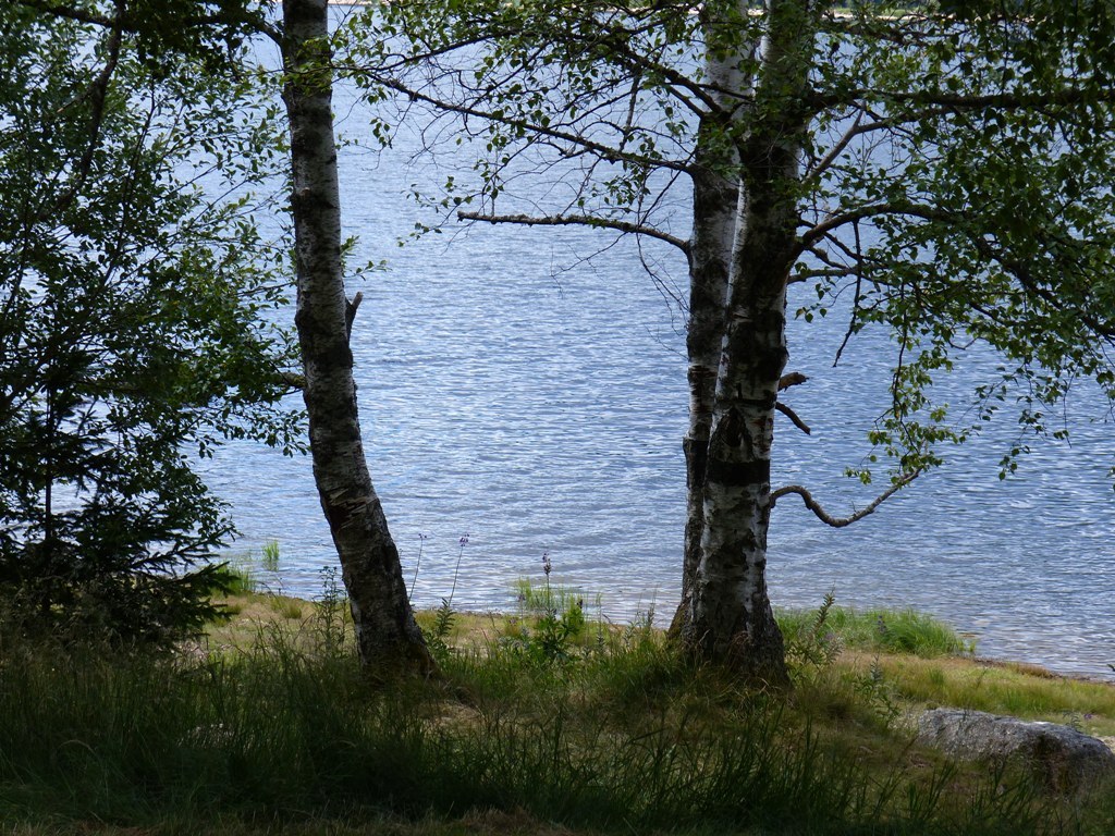 Schiffchenfahrt Schluchsee Schiffchenfahrt Schluchsee