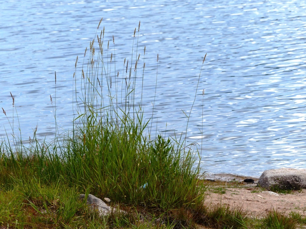 Schiffchenfahrt Schluchsee Schiffchenfahrt Schluchsee