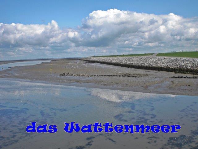 Pellworm17B Pellworm17B