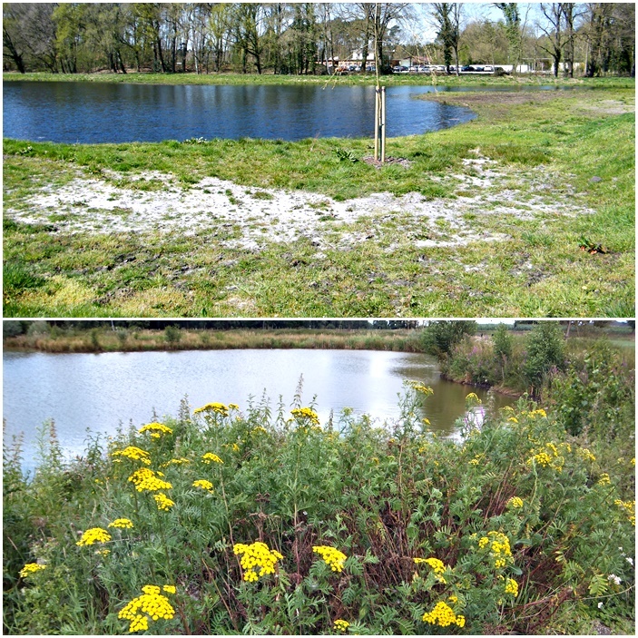 Steimbker See Steimbker See