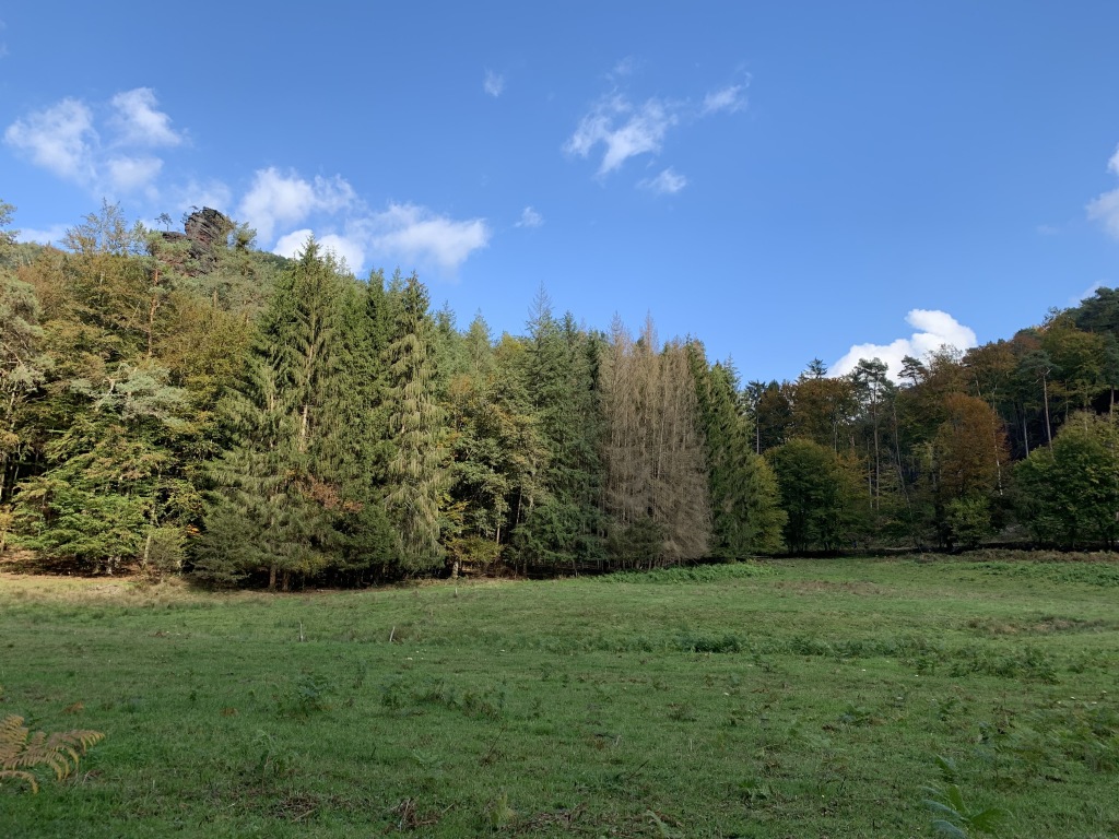 Hauenstein Okt Hauenstein Okt
