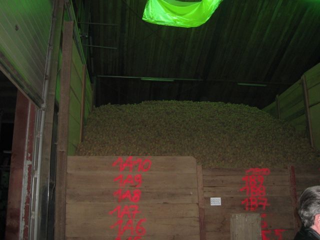KA Ri 05 KA Ri 05