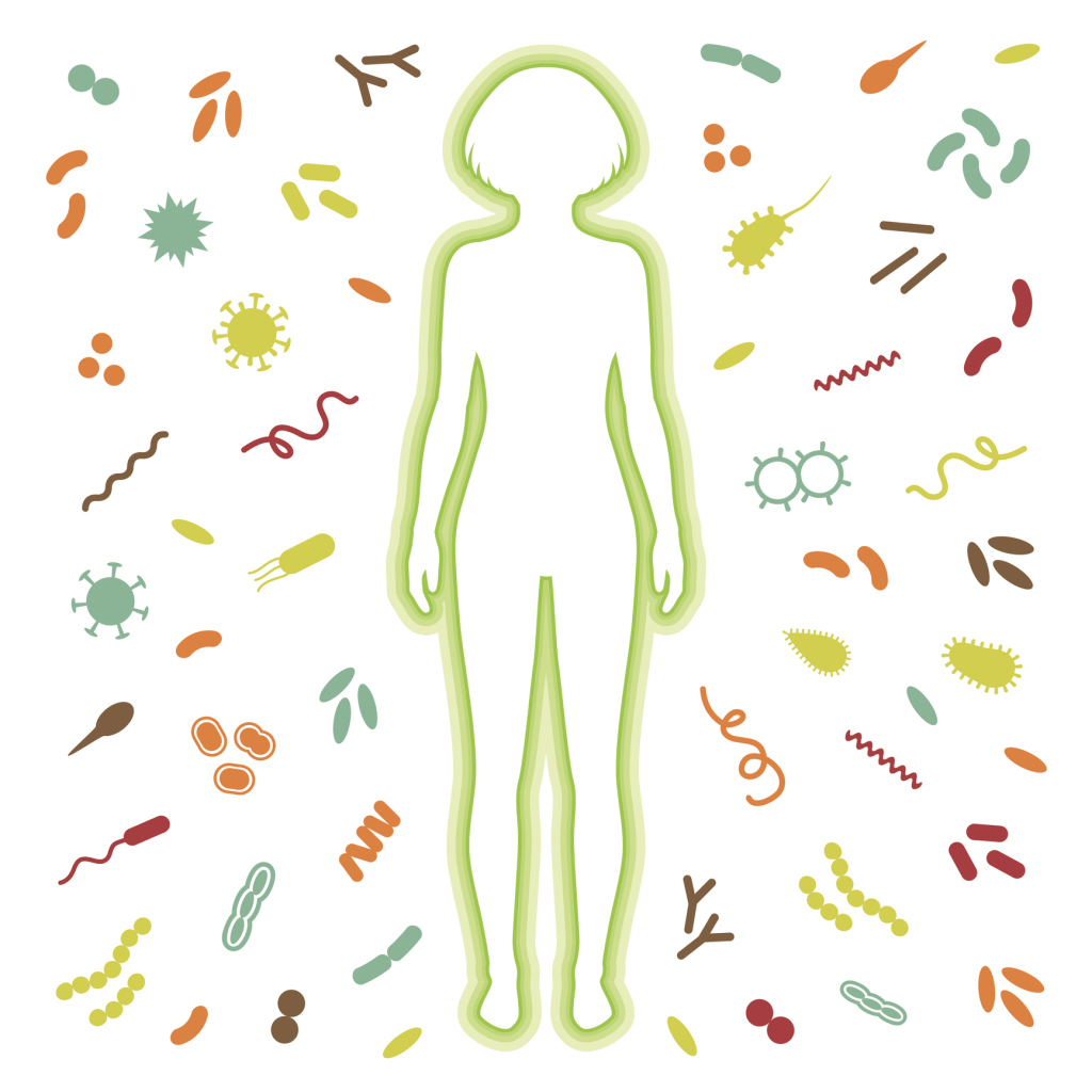 Immunsystem. Körper reflektiert Angriff von Bakterien und Viren Immunsystem. Körper reflektiert Angriff von Bakterien und Viren