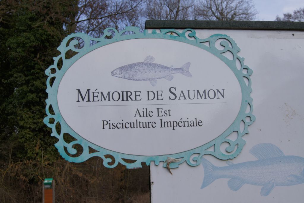 petite32 petite32