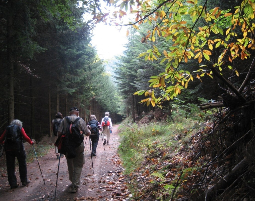 Wanderung Wanderung