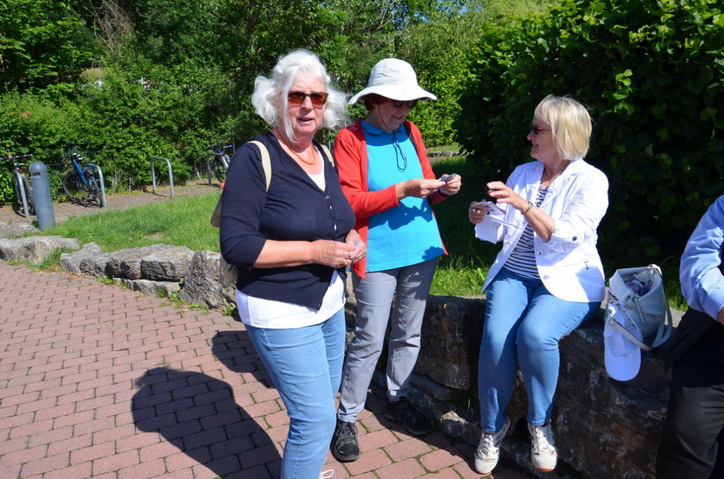 lahnelster 06-2019 _003 lahnelster 06-2019 _003