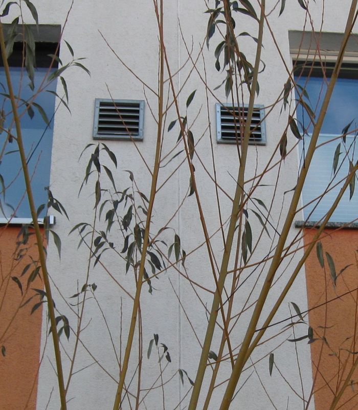 RKPA 09 RKPA 09