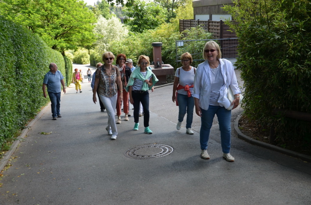 lahnelster 06-2019 _098 lahnelster 06-2019 _098