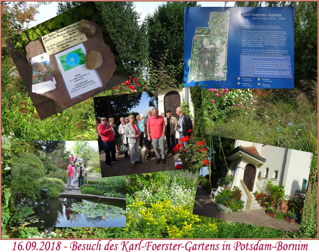 2018_Foerster01 2018_Foerster01