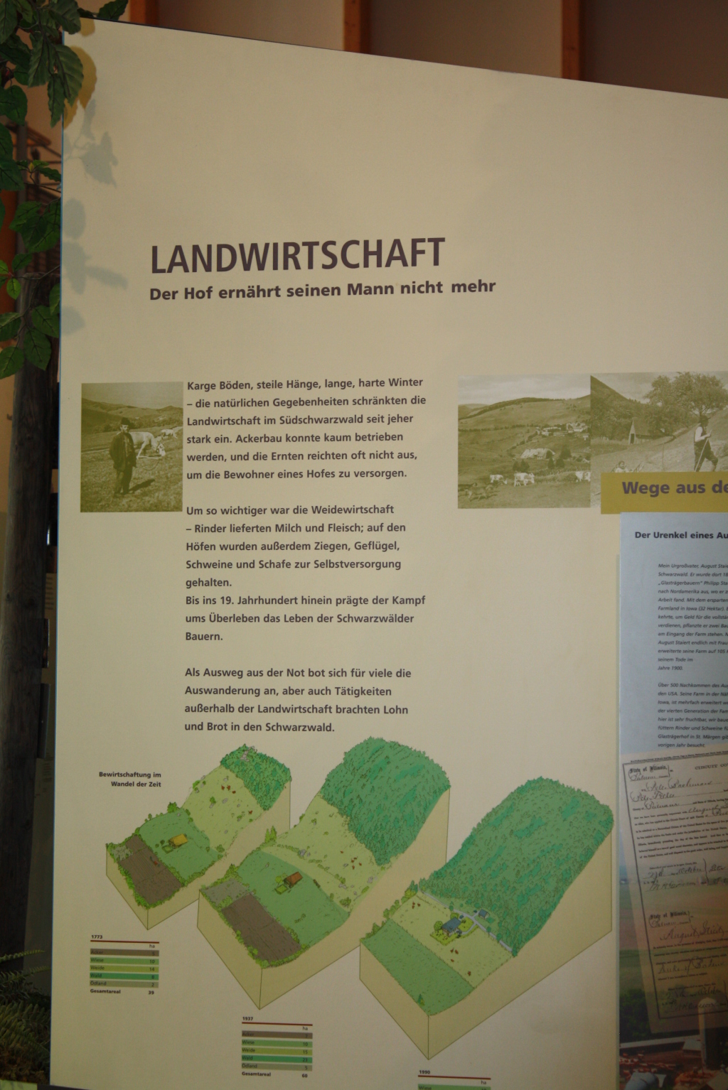 Haus der Natur Haus der Natur