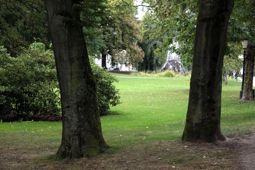 Im Park Im Park