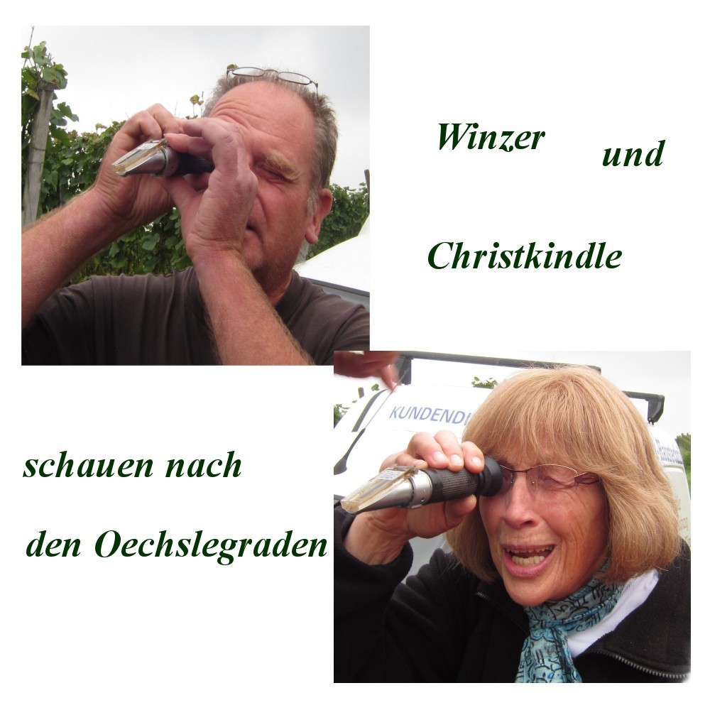 Martinshof-Schenke Martinshof-Schenke