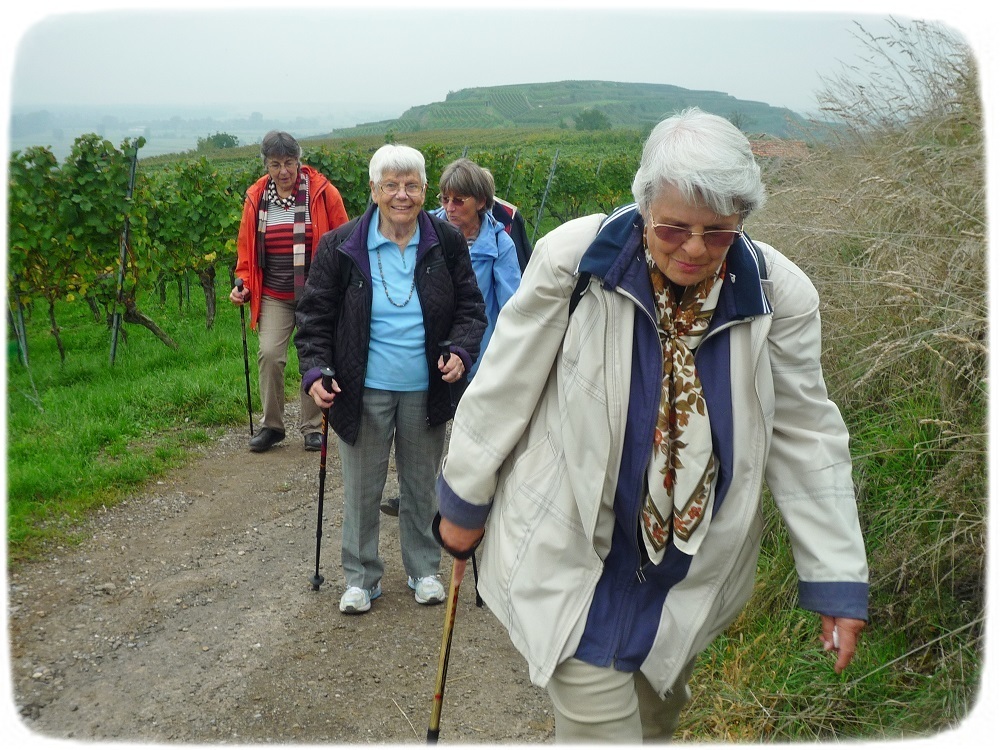 Martinshof-Schenke Martinshof-Schenke