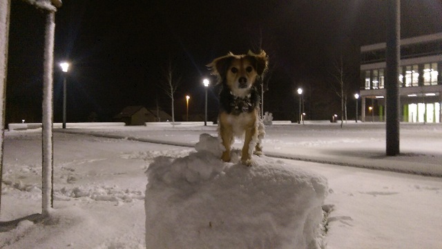 Fito auf demSchnneeberg Fito auf demSchnneeberg