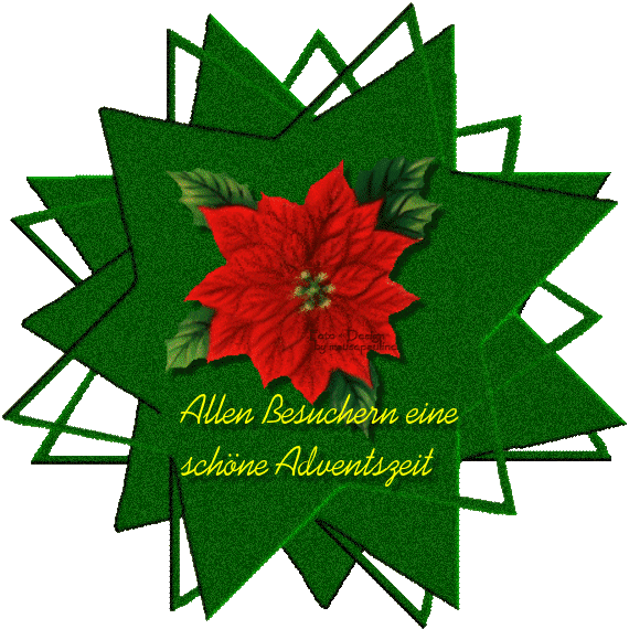 leider kein Adventskalender in diesem Jahr leider kein Adventskalender in diesem Jahr