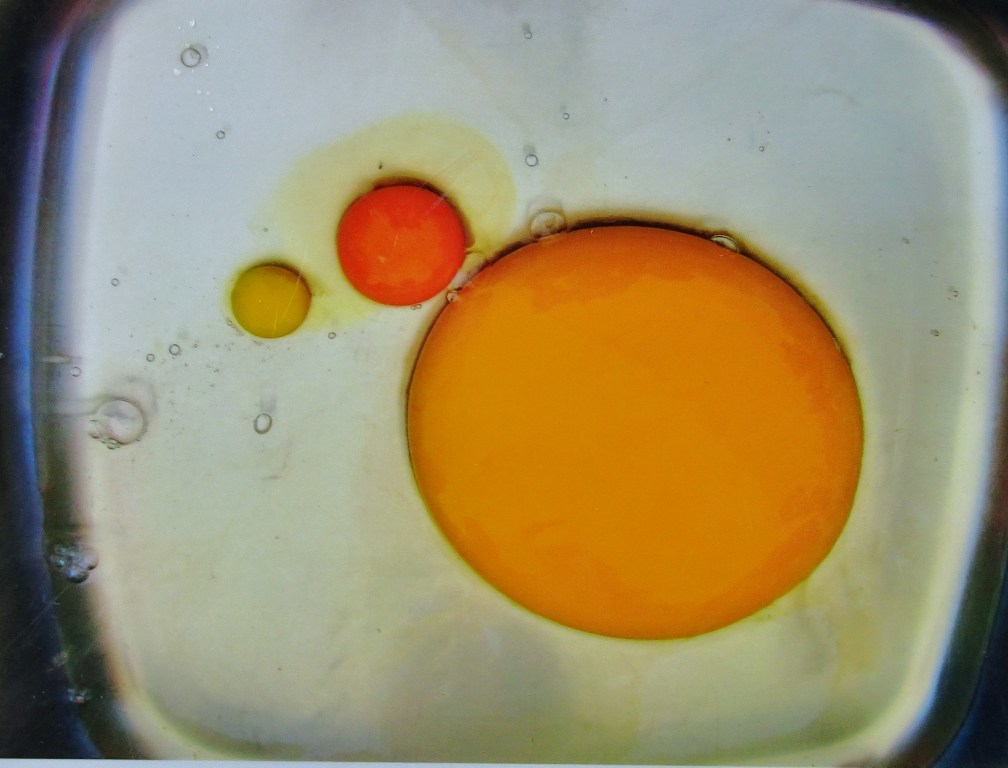 Strauß Strauß