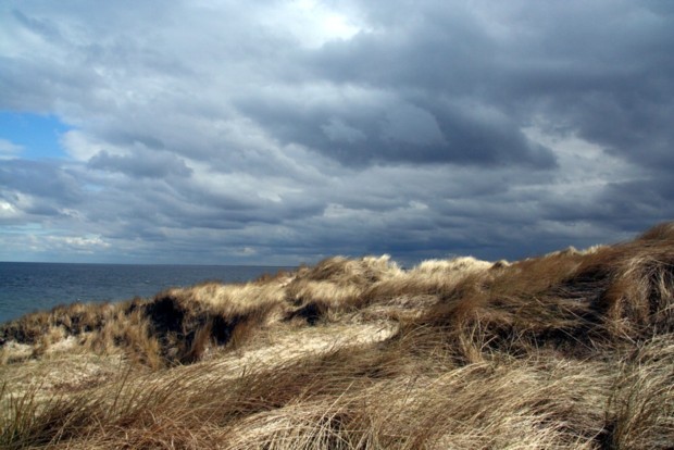 Sylt------- Sylt-------