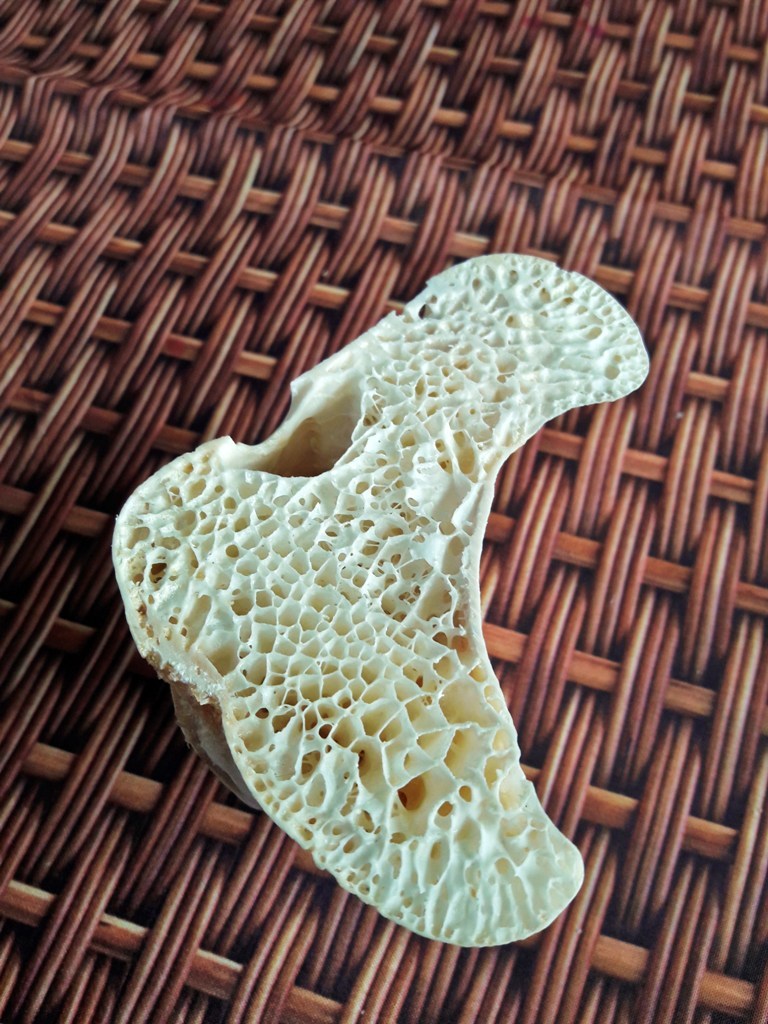Strauß Strauß