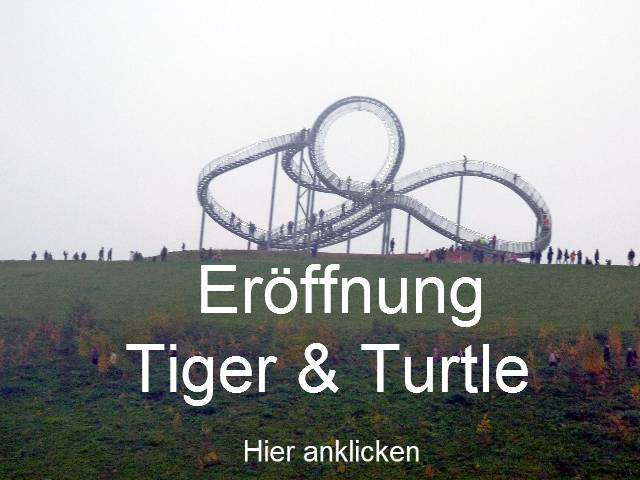 bild bild