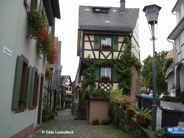 wb Engelgasse wb Engelgasse