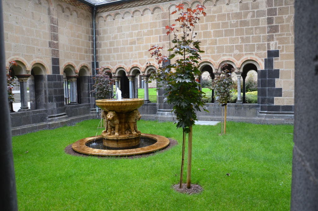 DSC_0082 DSC_0082