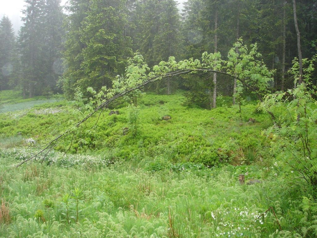 Langenbachtal 14 Langenbachtal 14