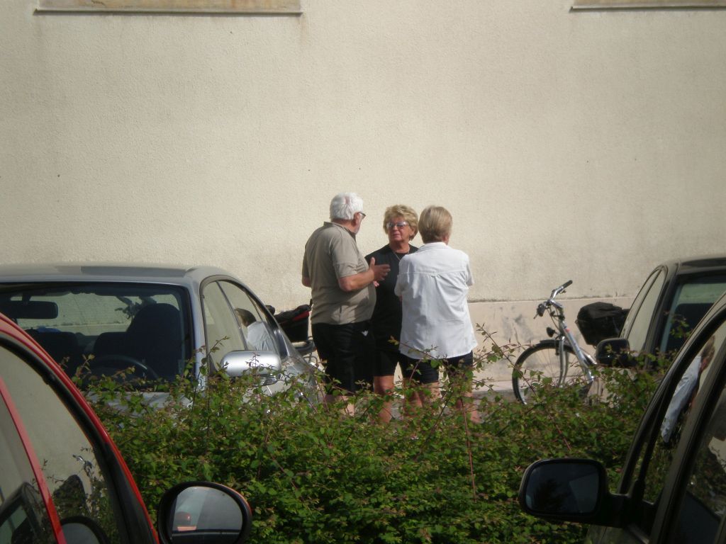 velo velo