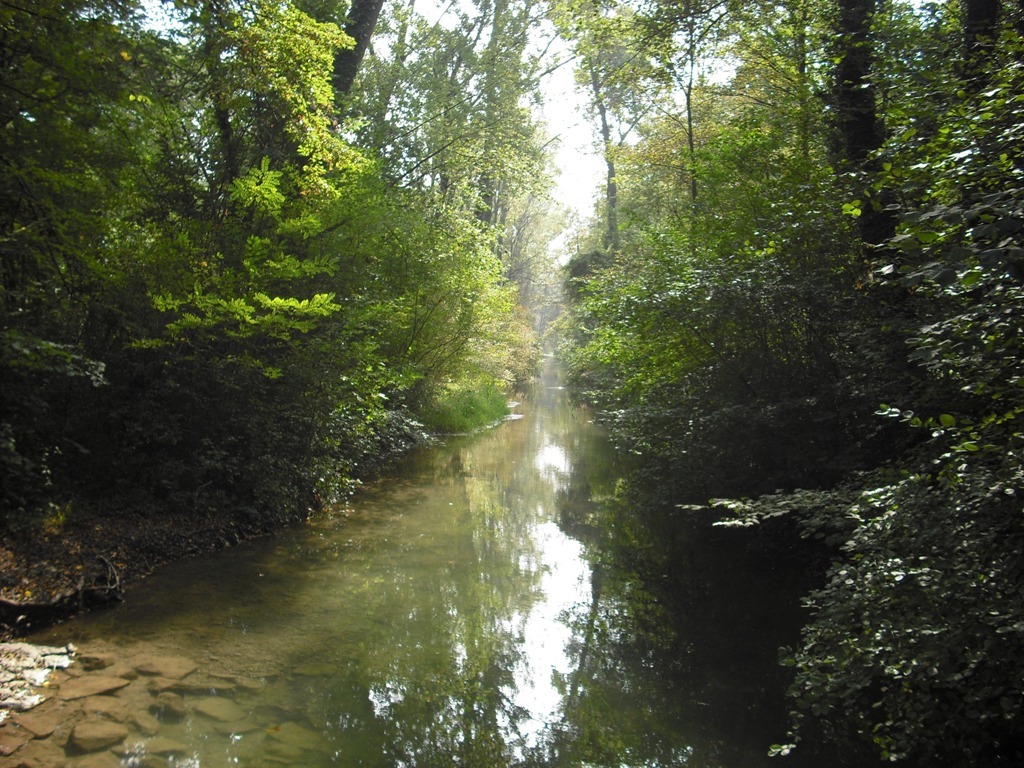 Weiher Weiher