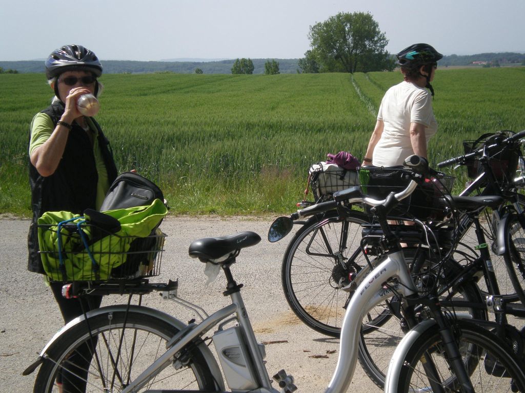 velo velo