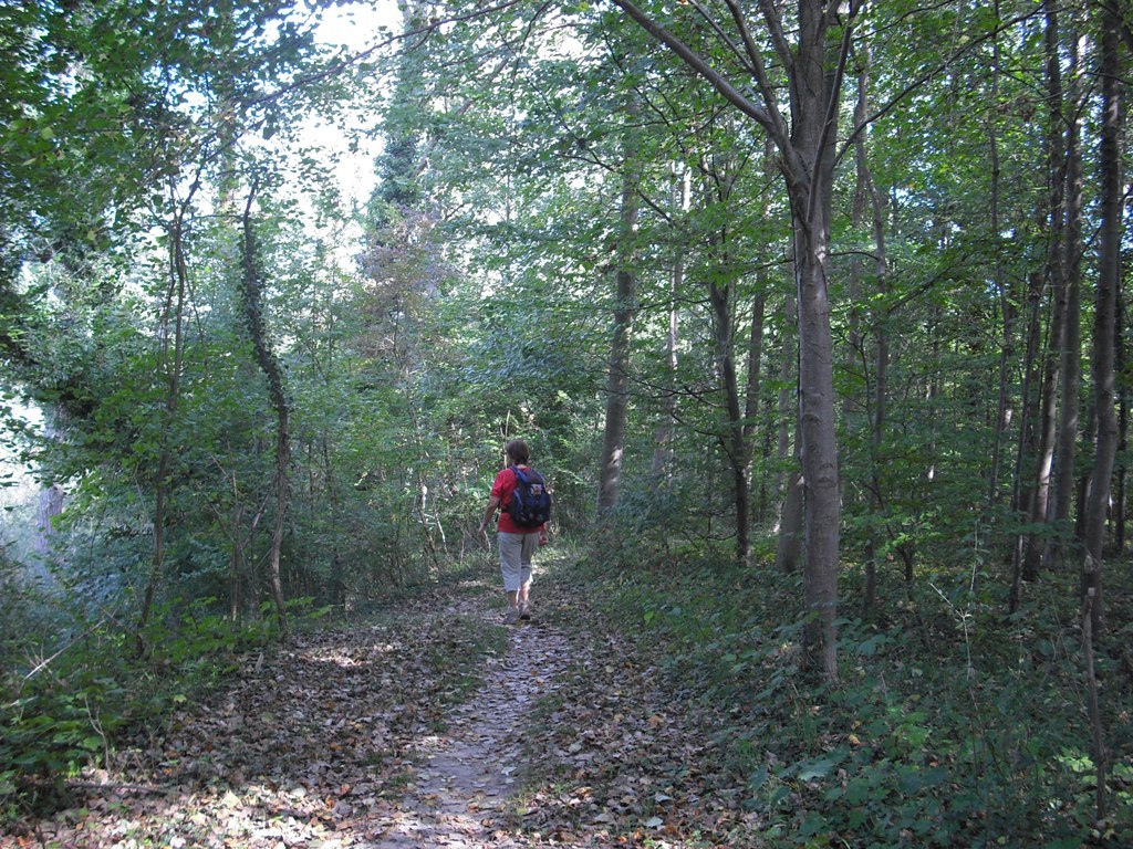 Wanderweg Wanderweg