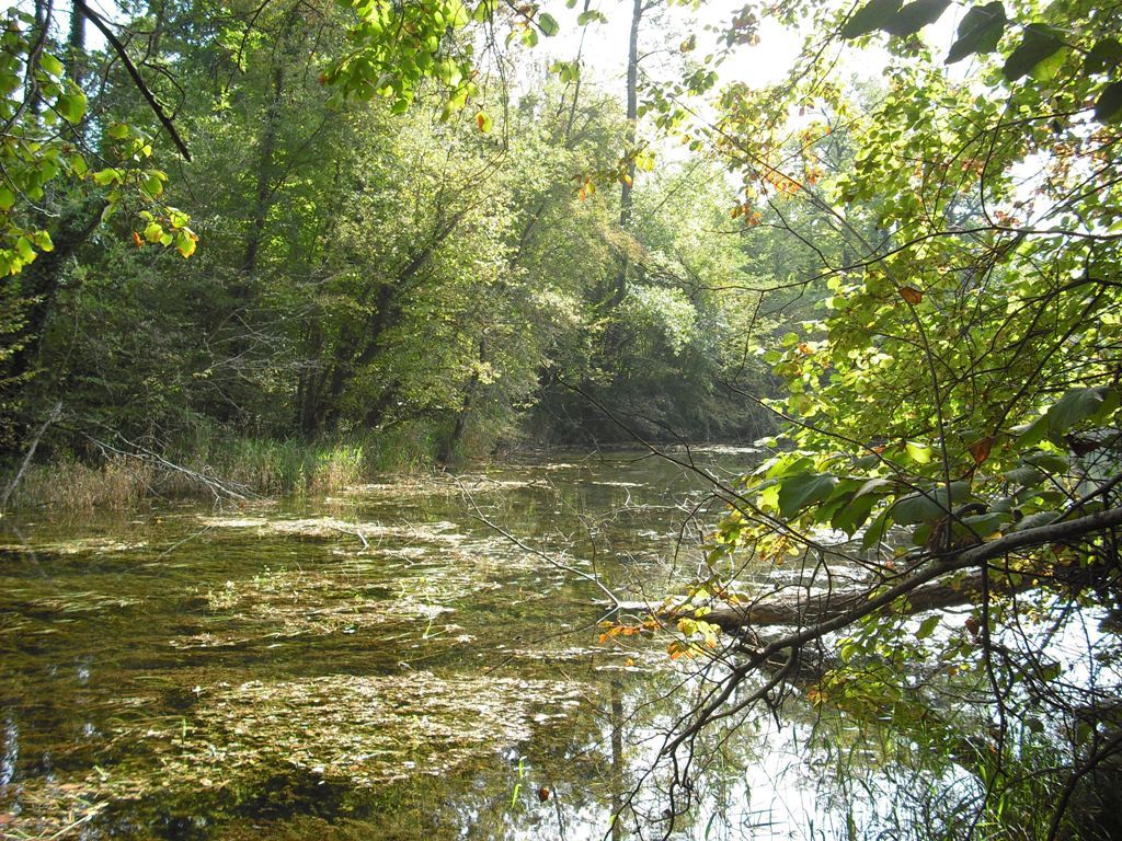 Wanderweg Wanderweg