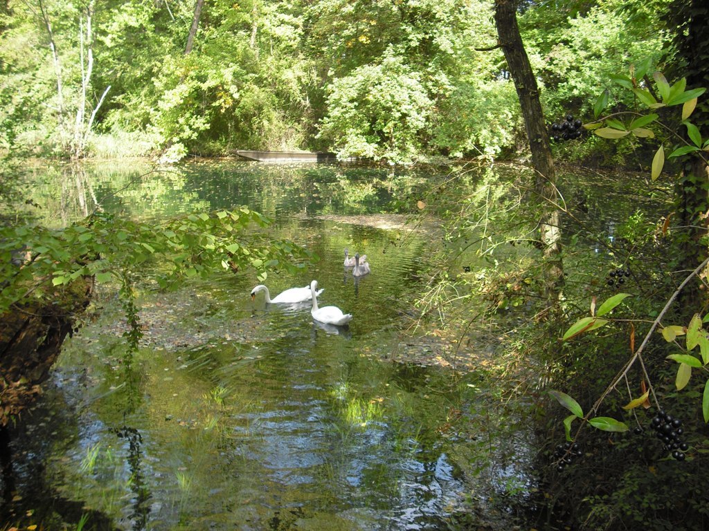 Wanderweg Wanderweg