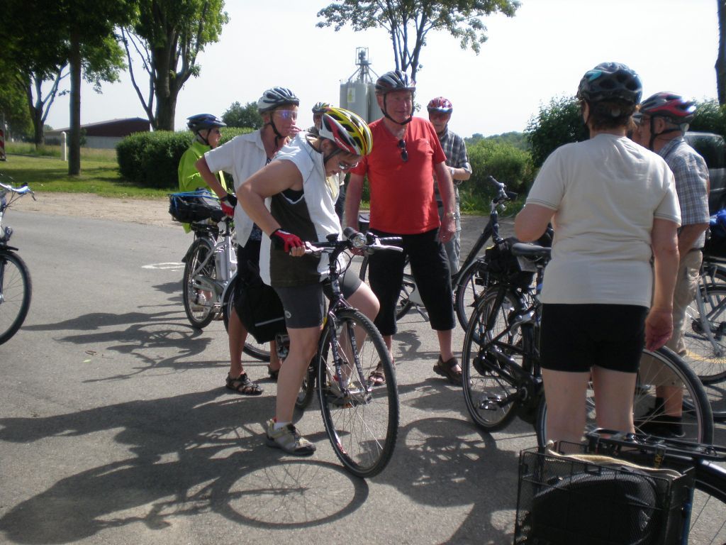 velo velo