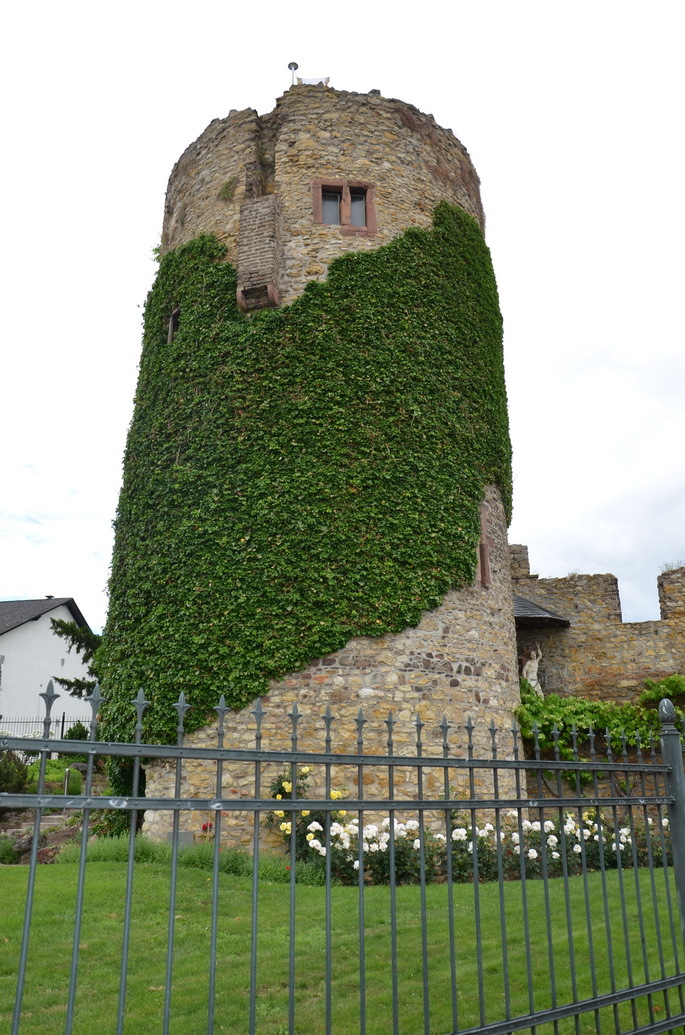 DSC_0062 DSC_0062