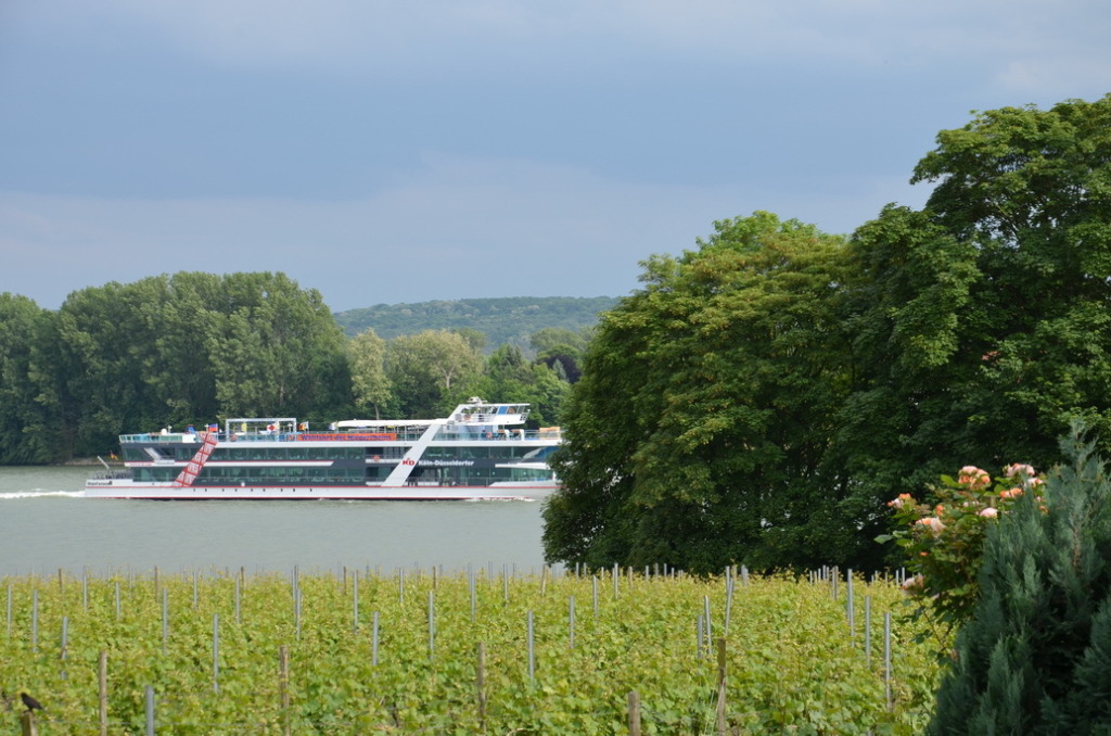 DSC_0235 DSC_0235
