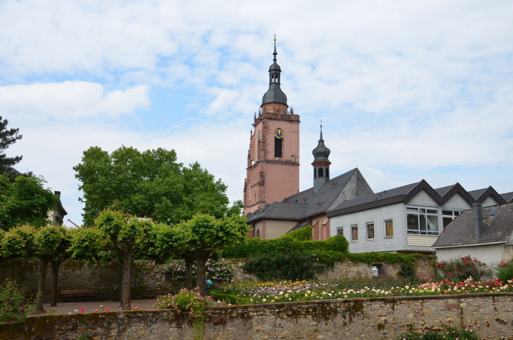 DSC_0010 DSC_0010